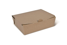 Brown Kraft Takeaway Boxes